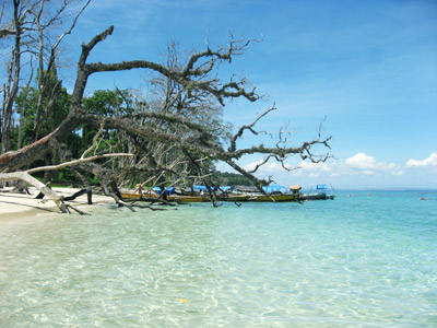 Beach in Havelock Andaman Islands India